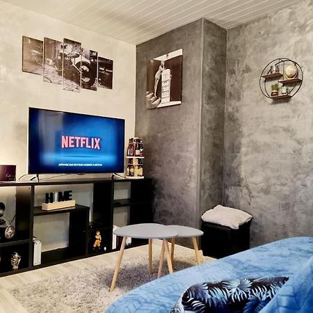 Appartement Proche Du Centre Ville Et Du Lac ジェラールメ エクステリア 写真