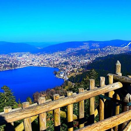 Appartement Proche Du Centre Ville Et Du Lac ジェラールメ エクステリア 写真