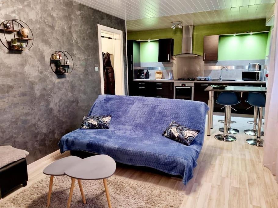 Appartement Proche Du Centre Ville Et Du Lac ジェラールメ エクステリア 写真