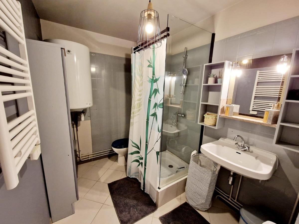 Appartement Proche Du Centre Ville Et Du Lac ジェラールメ エクステリア 写真